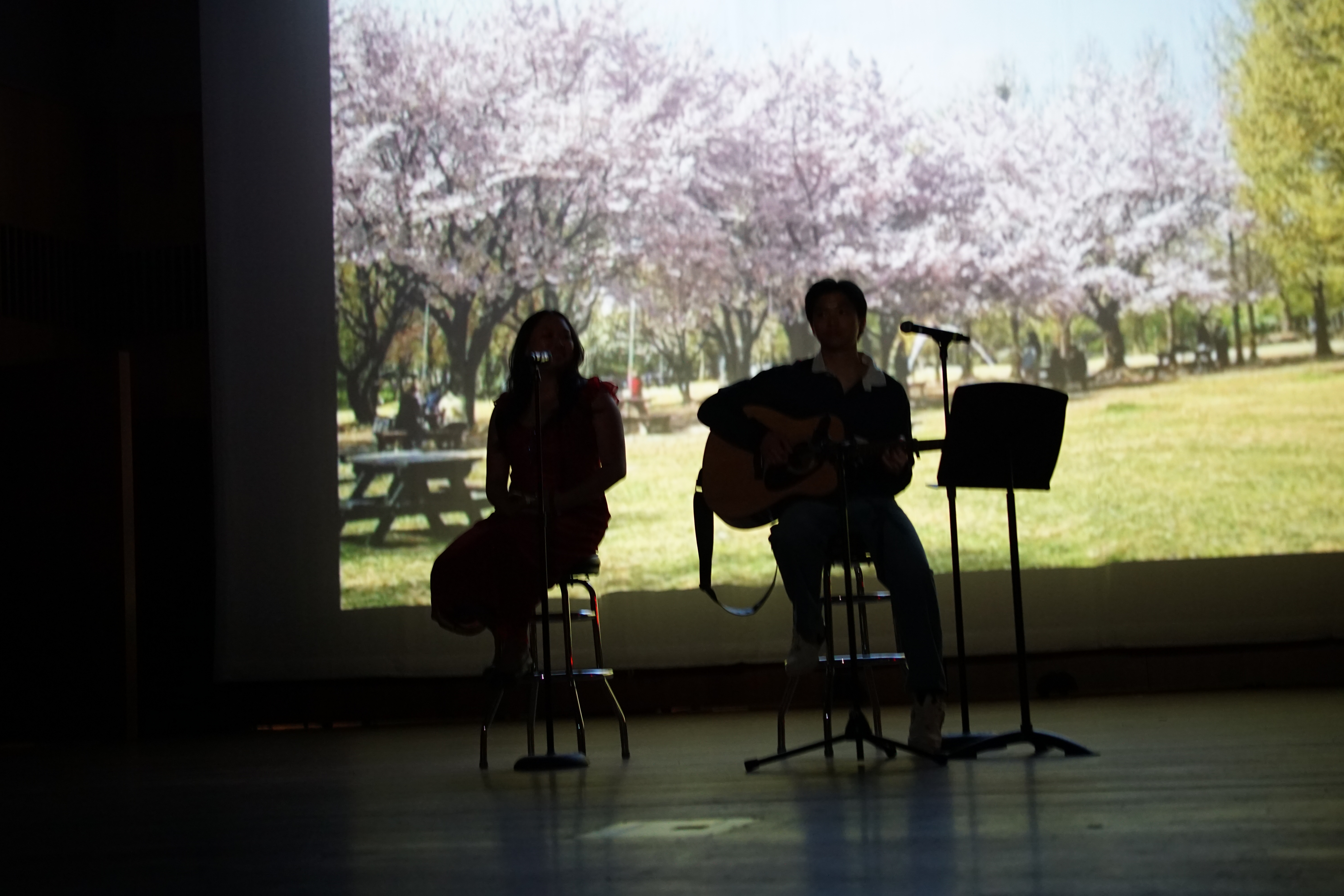 KSO Culture Show