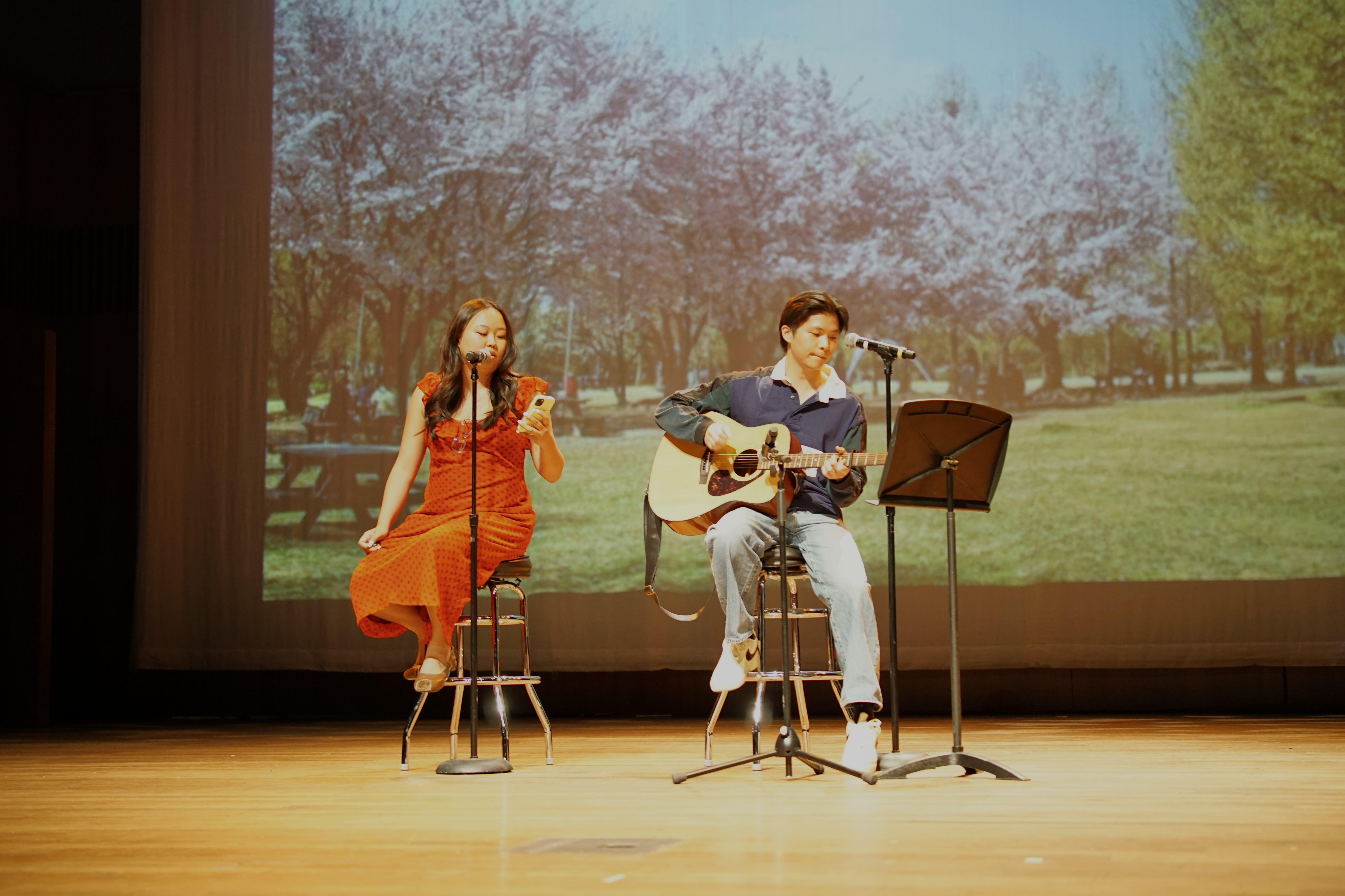 KSO Culture Show
