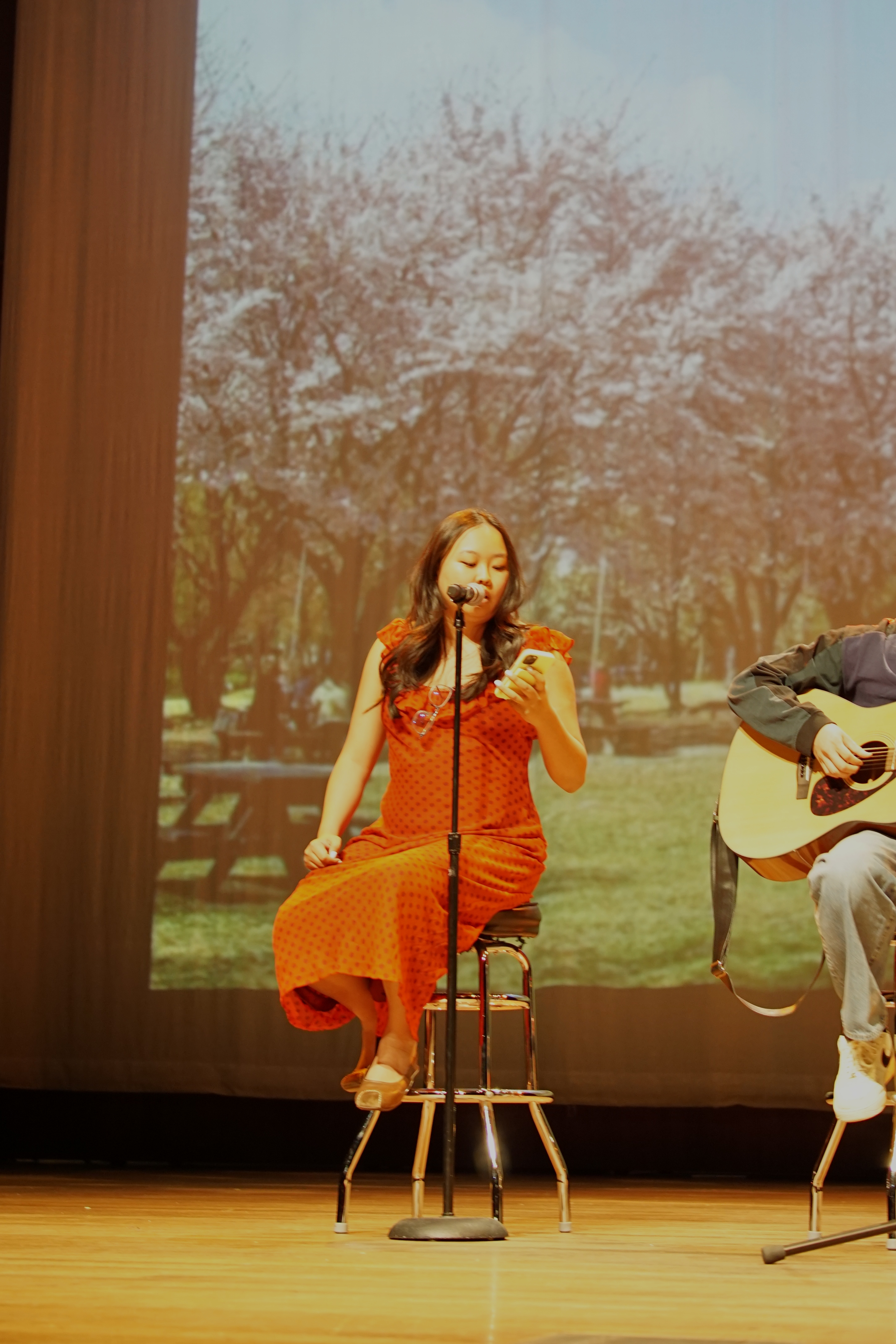 KSO Culture Show