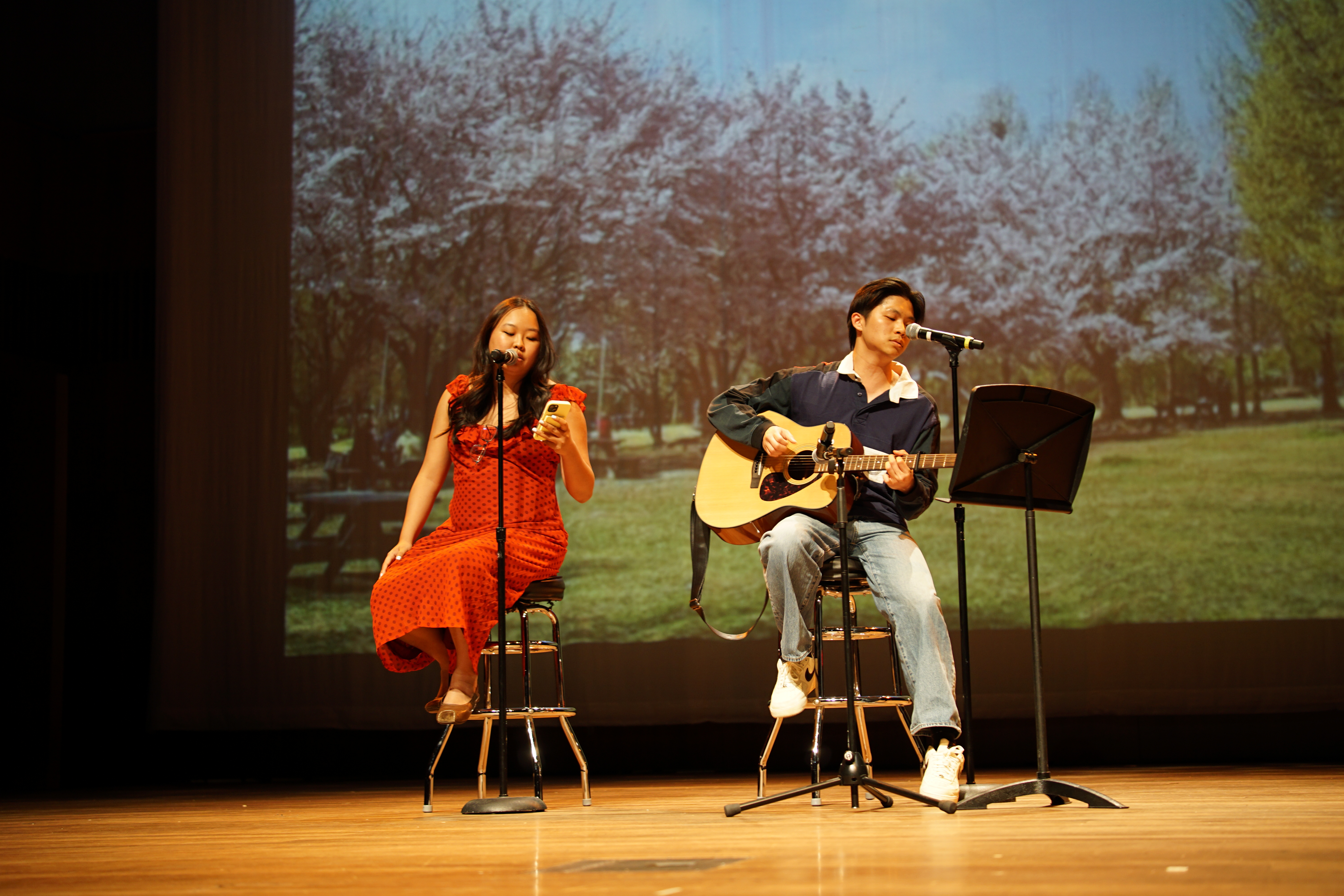 KSO Culture Show